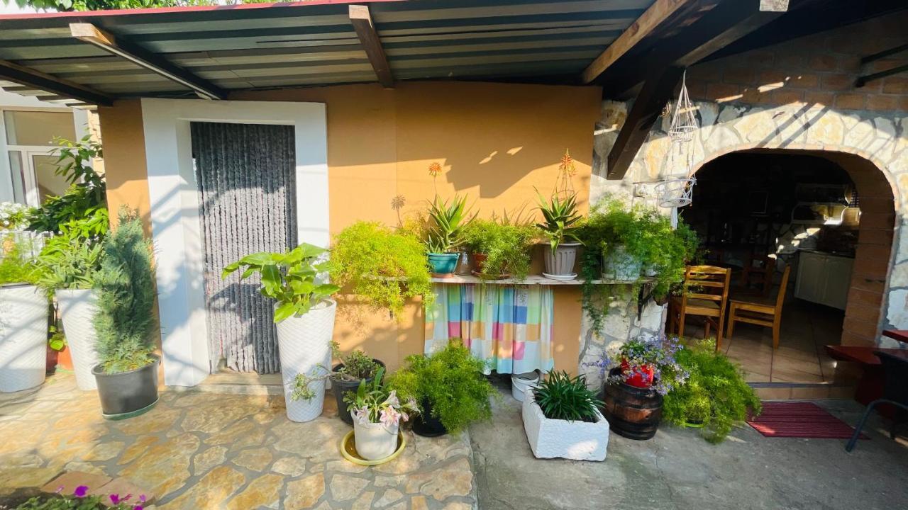 Colorful And Happy Apartment Sukosan - With Parking Eksteriør bilde